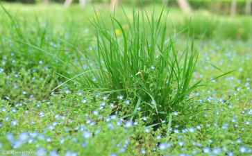 草房子的读后感400作文6篇