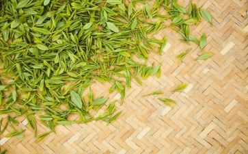 茶艺社个人总结5篇