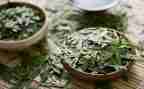 奶茶店个人总结6篇