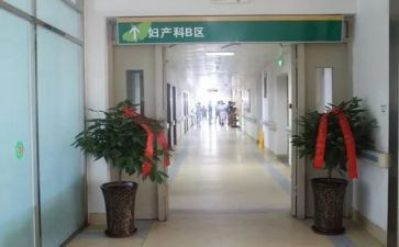 2024年房产科工作总结通用7篇