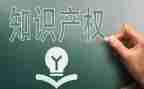 商标知识产权工作总结5篇
