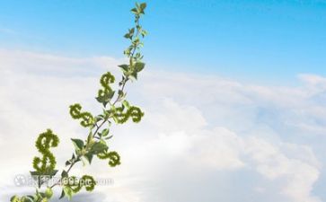 成长营心得体会精选5篇