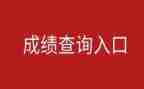 取得成绩的工作总结8篇