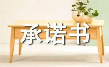 公司经营承诺书5篇