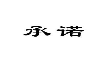 2024消防安全承诺书7篇