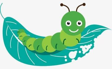 昆虫记读后感800字7篇