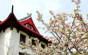 川大培训心得体会参考7篇