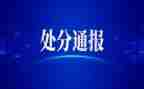 记处分思想汇报5篇