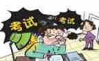 初级个人总结7篇