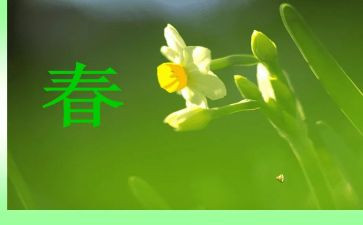 2023春安全教育讲话稿精选5篇