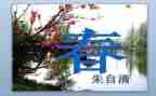 2024小学春季运动会活动方案8篇