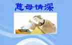 慈母情深反思教学反思8篇