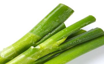 中班葱的教案7篇