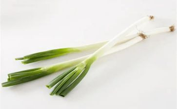 大班科学葱和蒜教案最新7篇