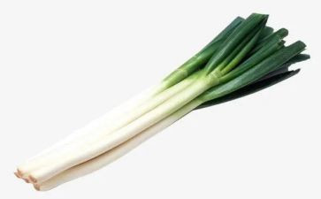 大班科学葱和蒜教案通用5篇