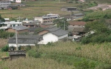 村董事致辞稿7篇