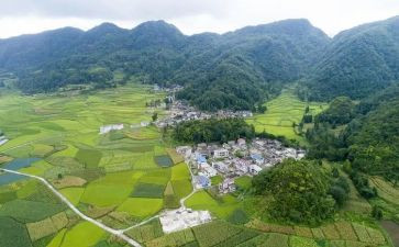 村党支部总结报告8篇
