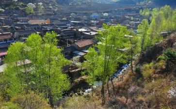 村党支部的心得体会8篇