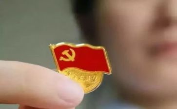 党与个人总结报告通用7篇
