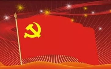党总支年度工作总结6篇