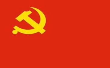 大党委述职报告5篇