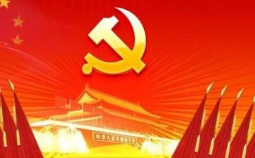 党支年度工作计划优秀5篇