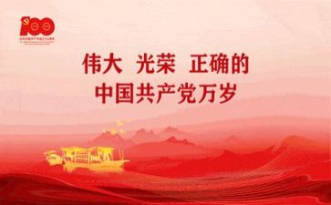 党支年度工作总结模板7篇