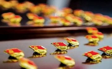 建党95周年活动总结8篇
