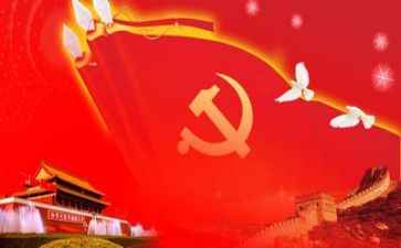 党支年度工作总结优秀5篇