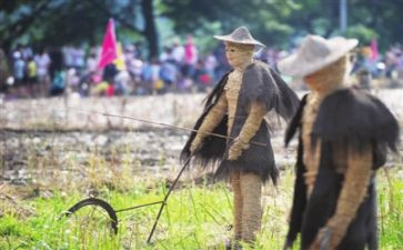 读《稻草人》的读后感推荐8篇