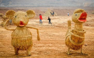 写《稻草人》读后感模板6篇