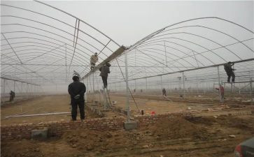 租大棚的合同模板5篇