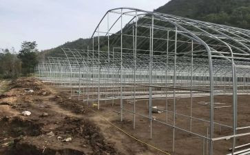 租大棚的合同8篇