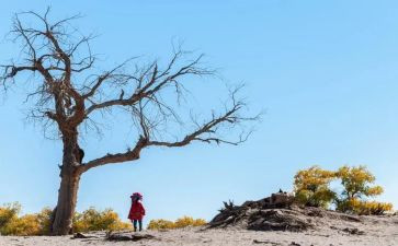 有关等待的作文7篇