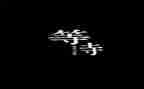 不等待作文600字优质6篇