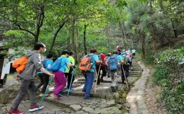 重阳登高活动方案及策划6篇