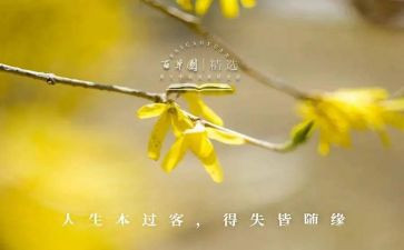 得与失作文600字最新7篇