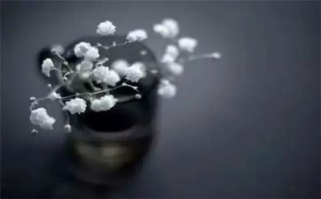 四年级我的得与失作文参考8篇