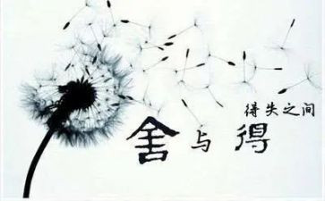 得与失作文800字模板8篇