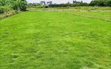 地买卖合同推荐5篇