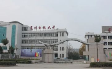电大学生学习心得体会模板8篇