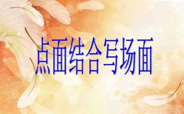 点面结合场面作文7篇