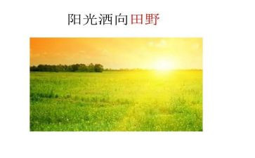 定格的画面作文600字7篇