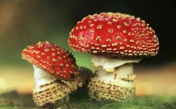 关于禁毒教育的心得体会6篇