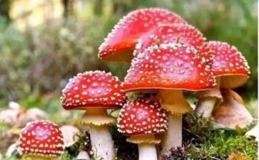 禁毒得心得体会参考7篇
