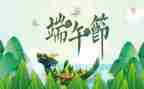 端午作文800字作文最新8篇