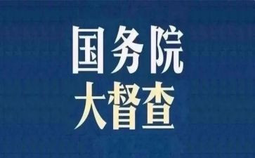 督查科年度工作总结7篇