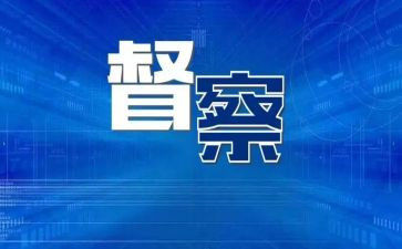 督察月总结6篇