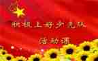 少先队课活动总结5篇