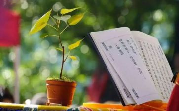 读经典活动方案优质6篇
